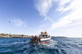 Boat tour / Snorkel Tour 2h