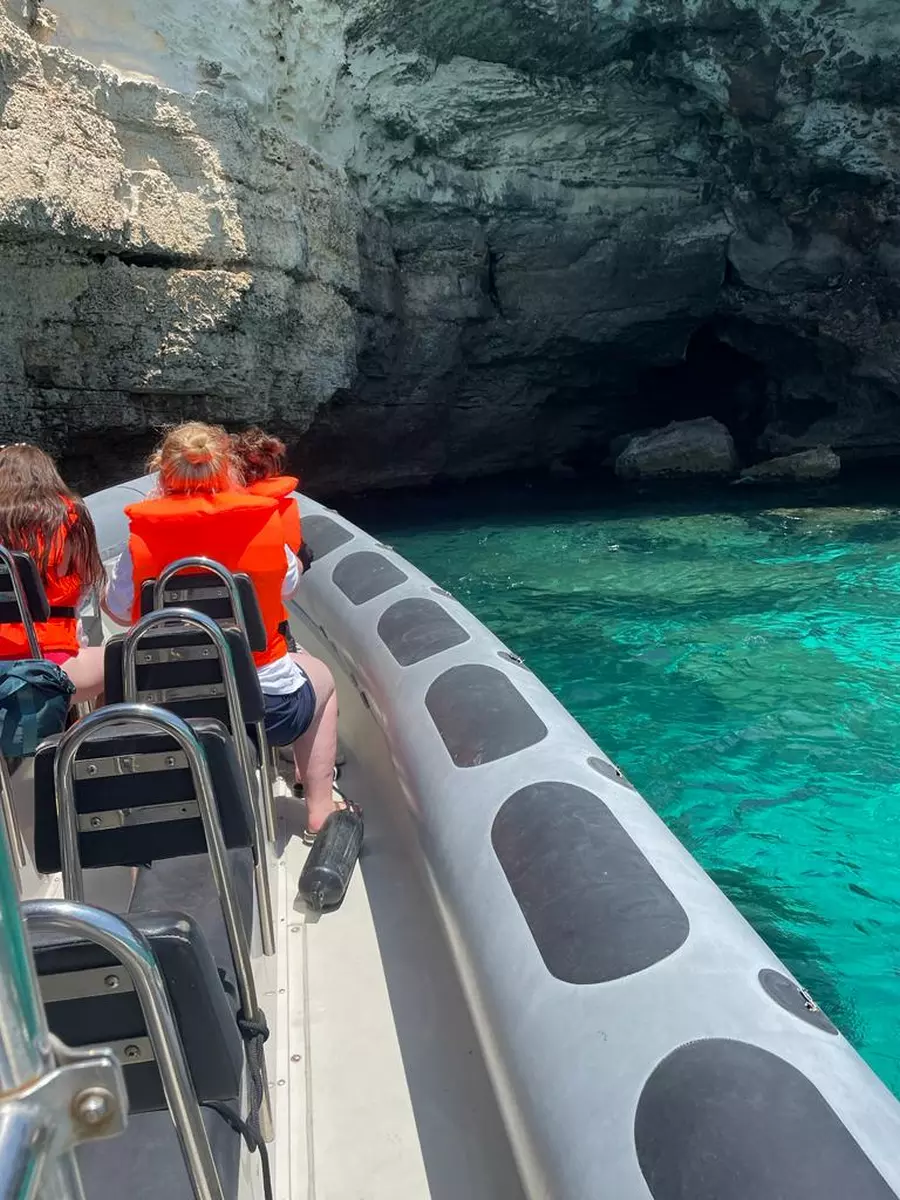 Adrenaline / Secret Coves