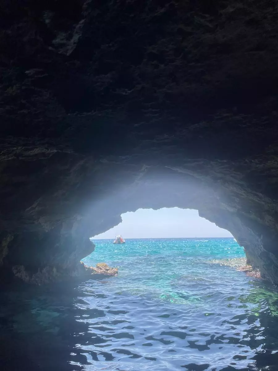 Adrenaline / Secret Coves
