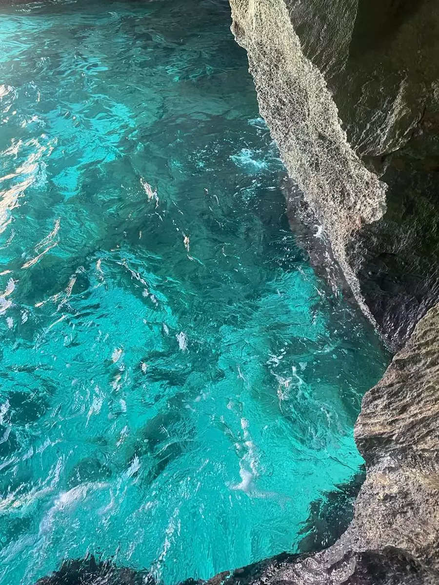 Adrenaline / Secret Coves