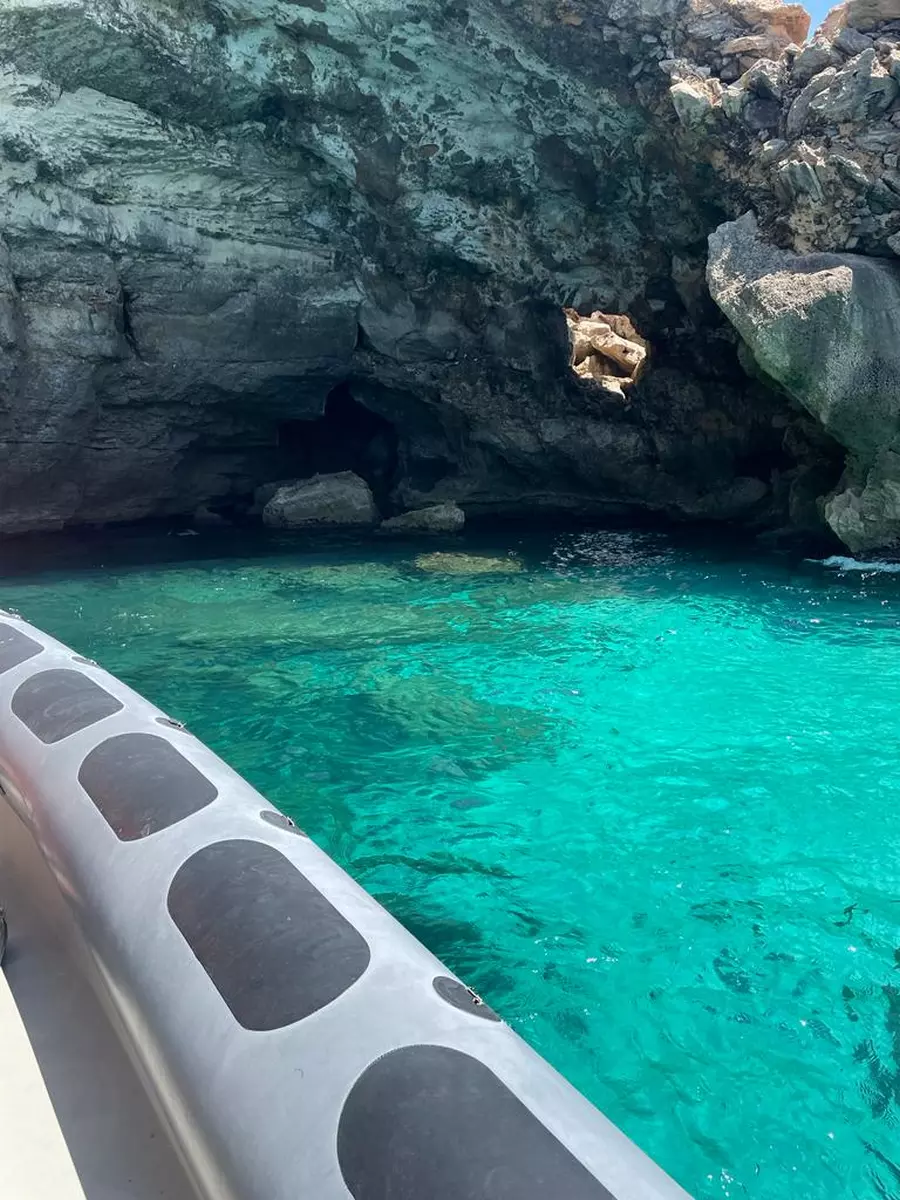 Adrenaline / Secret Coves